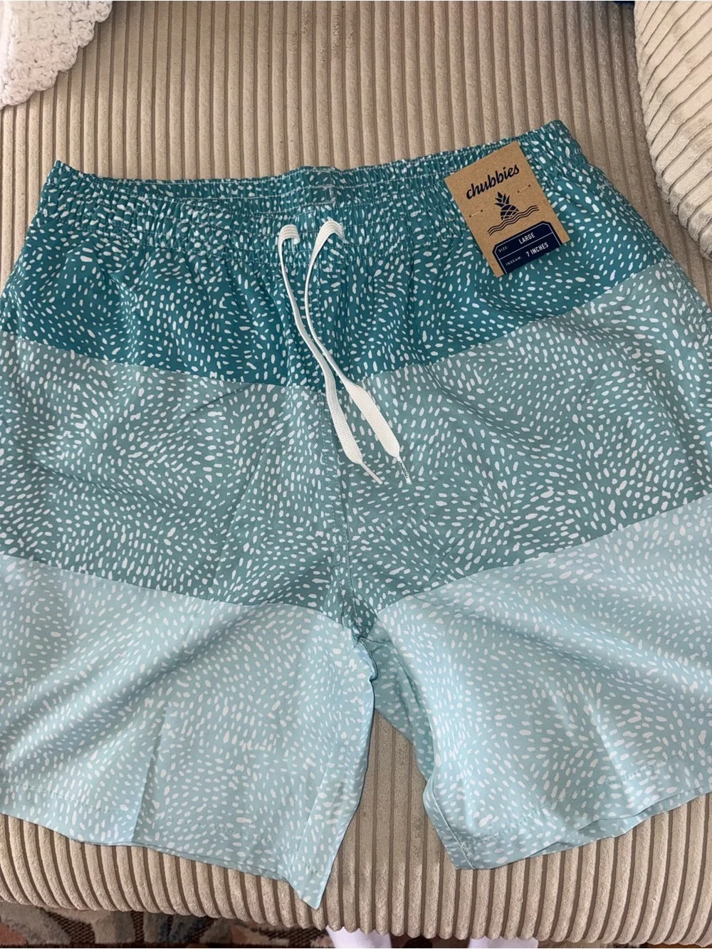 chubbies Teal & Light Blue Patterned Hybrid Shorts